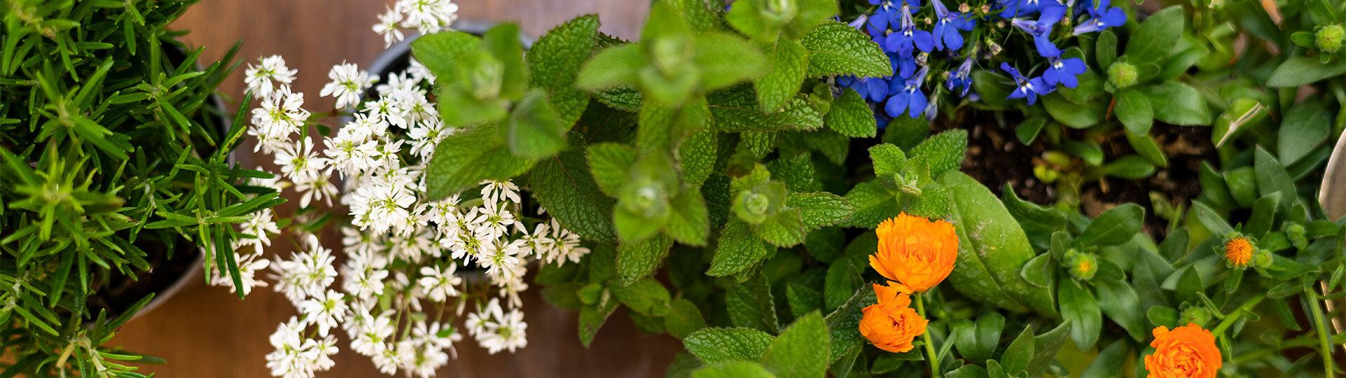 Über uns - Bollwerkapotheke Bern